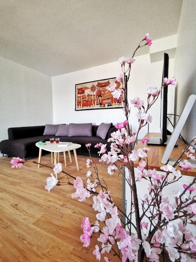 Apartament Le 79 Reflet De La Marne Noisy-le-Grand Zewnętrze zdjęcie